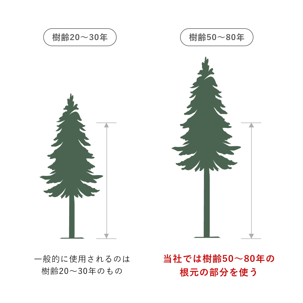 根太 (国産 杉 KD) 45×45