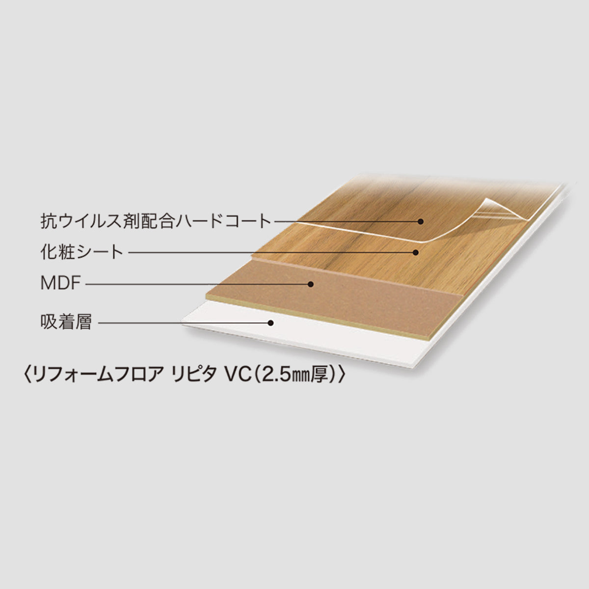 リフォームフロア リピタ VC / 壁際見切り